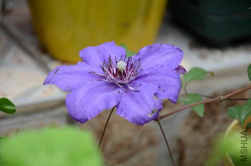DSC_3944.JPG