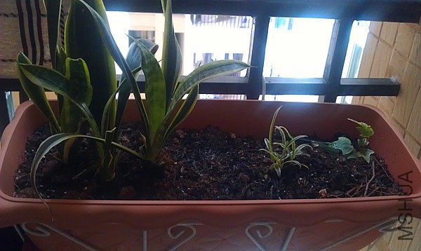 IMAG0179_����.jpg