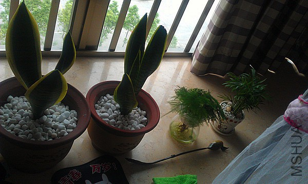 IMAG0182_����.jpg