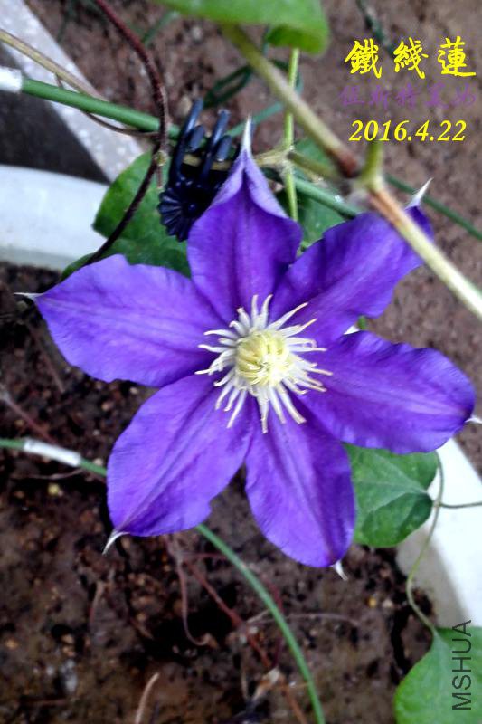 IMG_20160421_173348_����.jpg