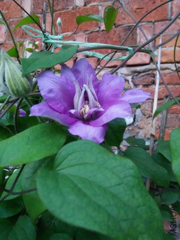 IMG20160418183321.jpg