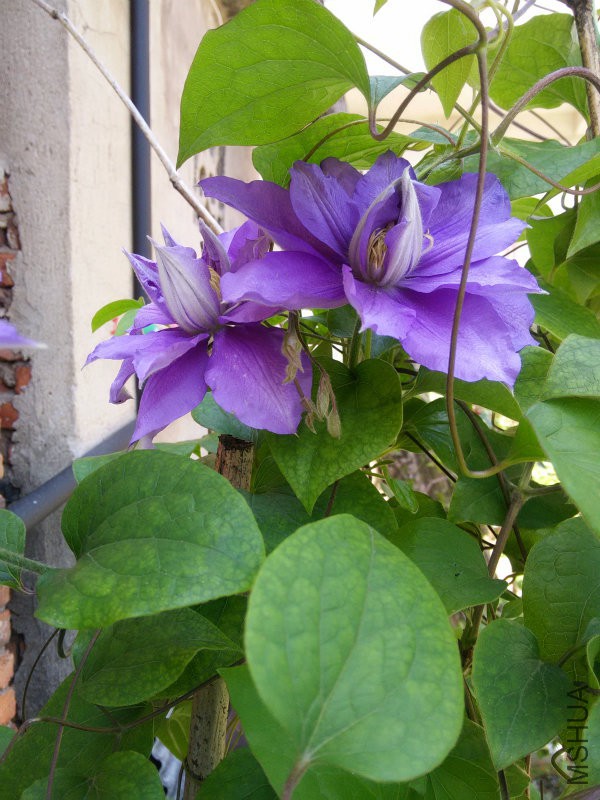 IMG20160419125630.jpg