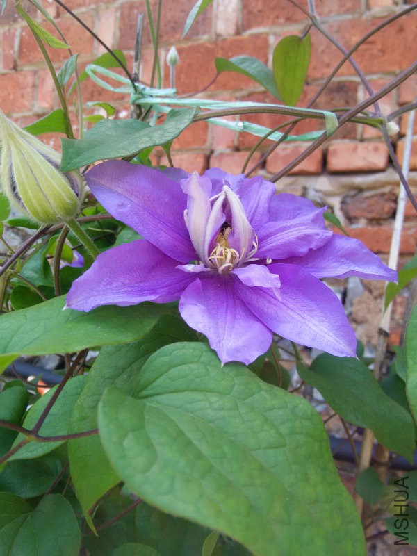 IMG20160419125646.jpg