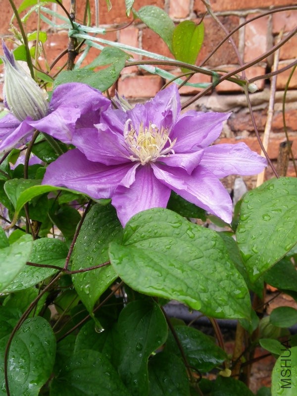 IMG20160420105153.jpg
