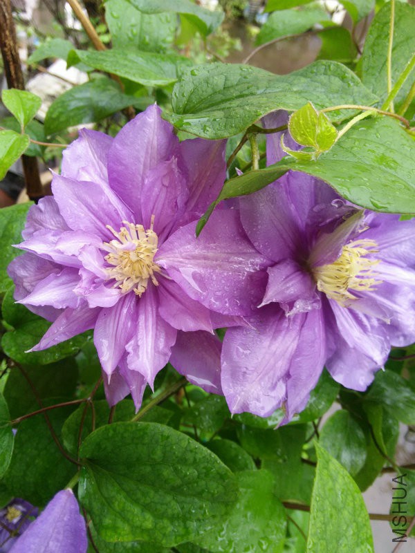 IMG20160420105301.jpg