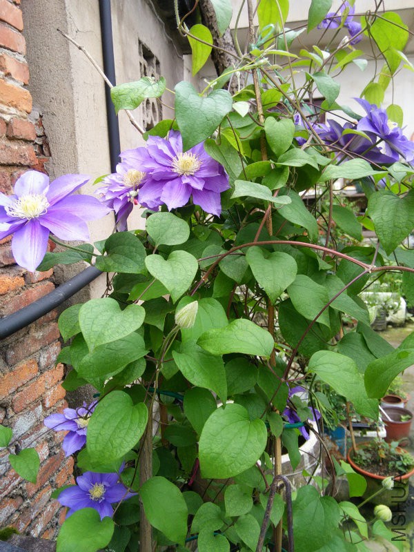 IMG20160422113741.jpg