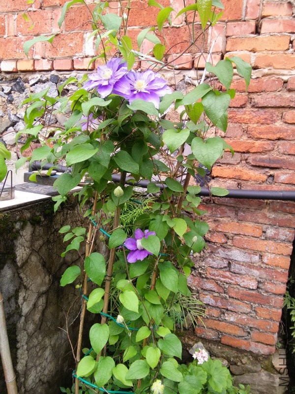 IMG20160422113621.jpg