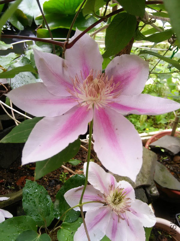 IMG20160422102056.jpg