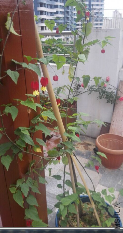 QQͼƬ20160422150740.jpg