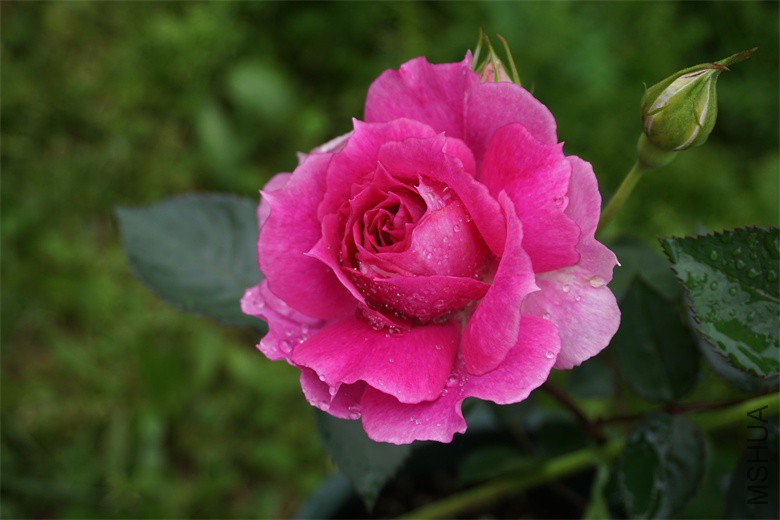 DSC01765_��ͼ��.jpg