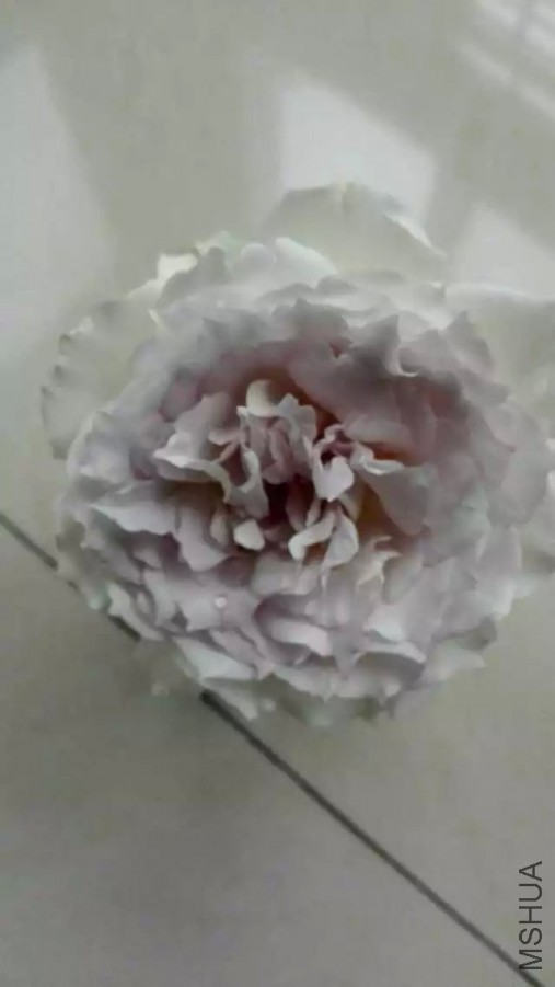 psb (14).jpg