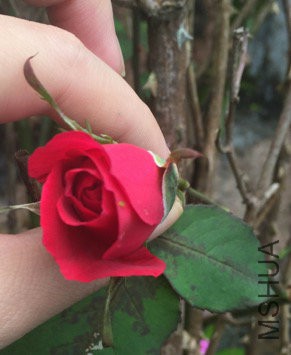 ��֪��