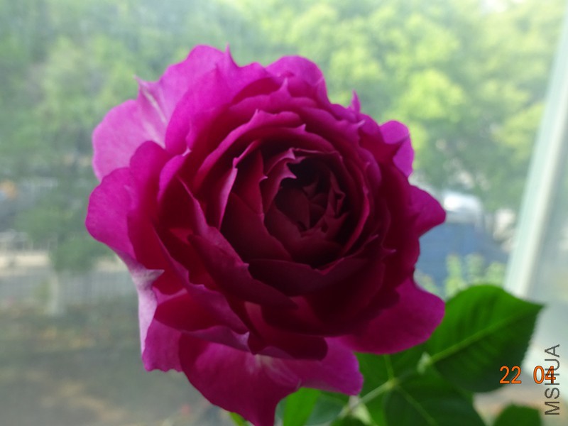 DSC01359_����.jpg