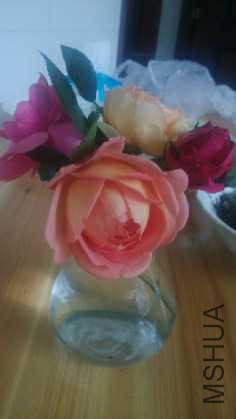 IMG_20160423_081620.jpg