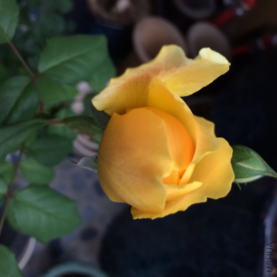 2016-4-21.jpg