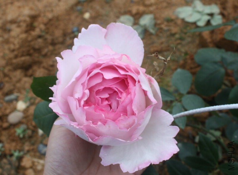 QQ�?��20160423115957.jpg