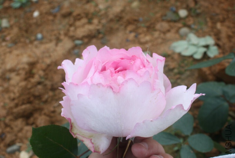 QQ�?��20160423120013.jpg