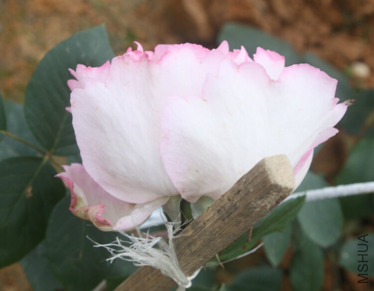 QQ�?��20160423120023.jpg