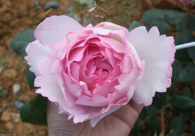 QQ�?��20160423120040.jpg