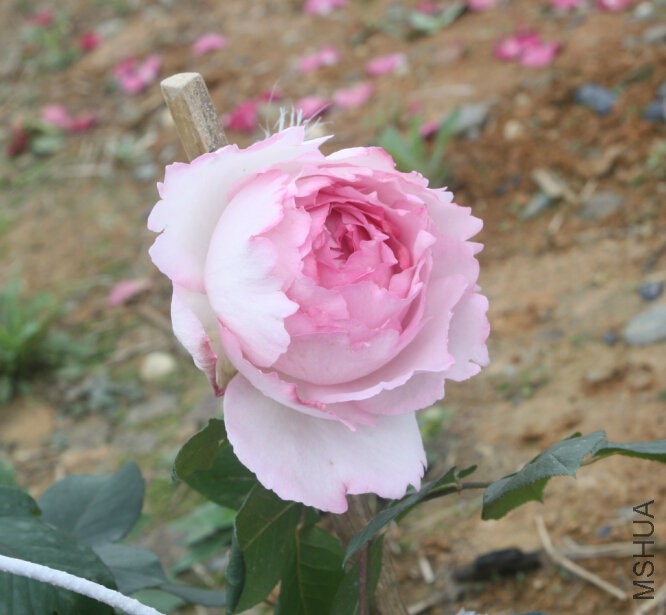 QQ�?��20160423120046.jpg