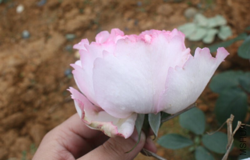QQ�?��20160423120109.jpg