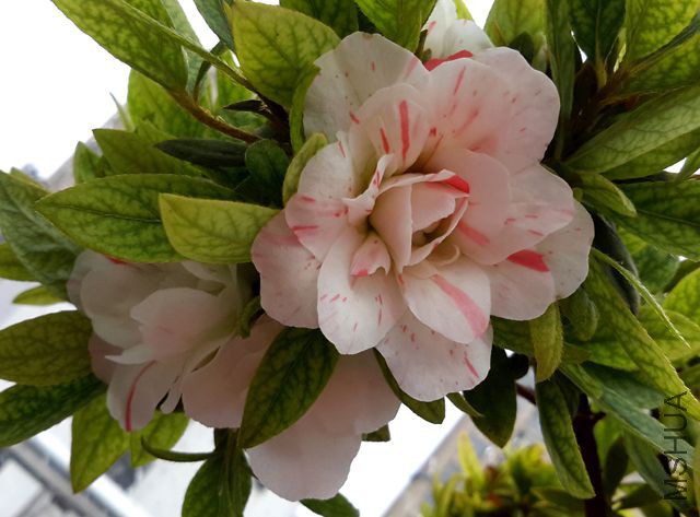 20160423_085248.jpg