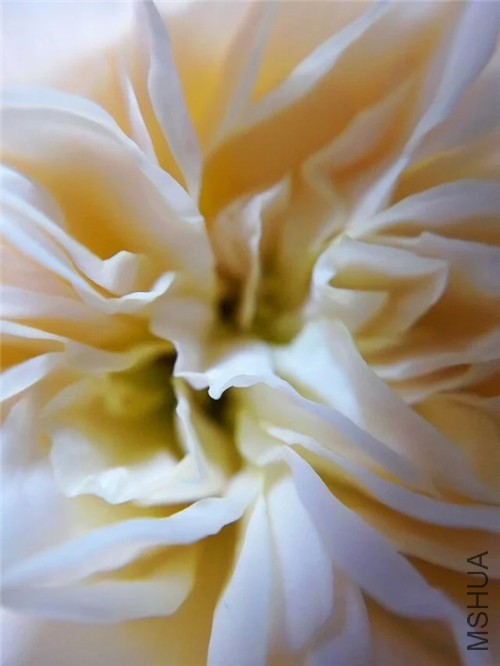 psb (5)_����.jpg