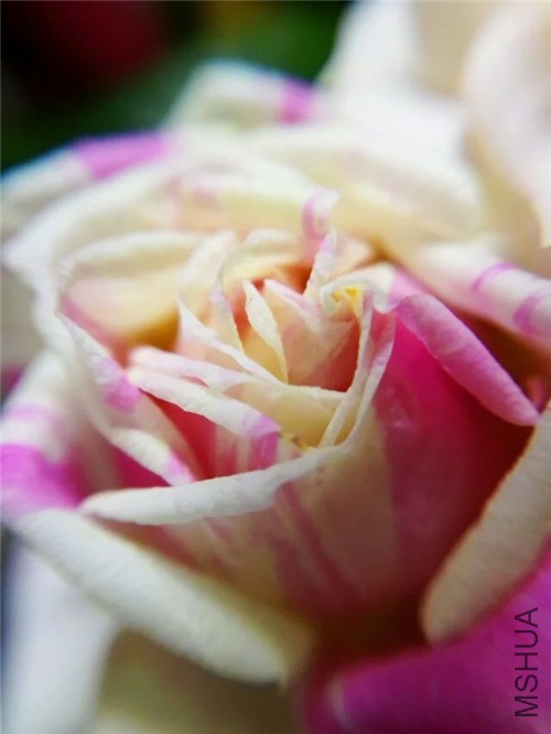psb (6)_����.jpg