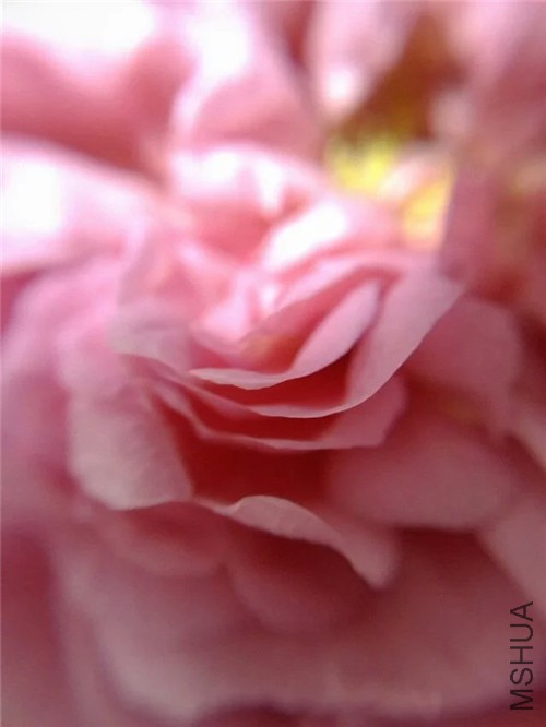psb (7)_����.jpg