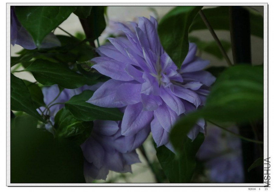 2016042304.jpg