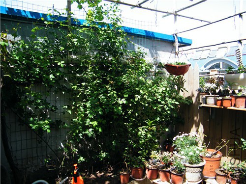 DSCF8653.jpg
