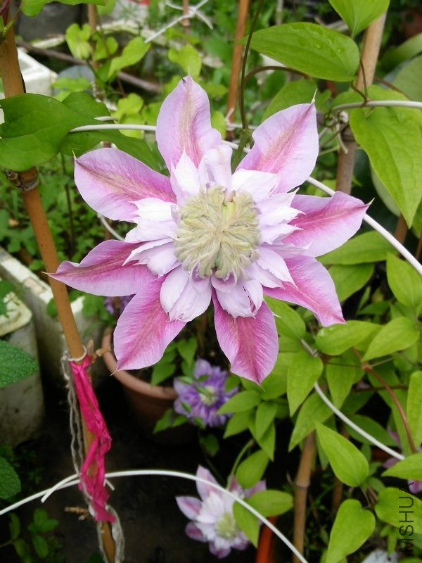 IMG20160422095851.jpg