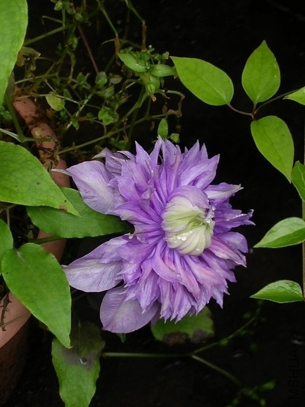 IMG20160422095939.jpg