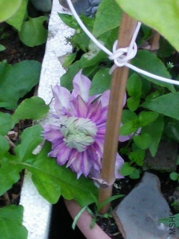 IMG20160418183449.jpg