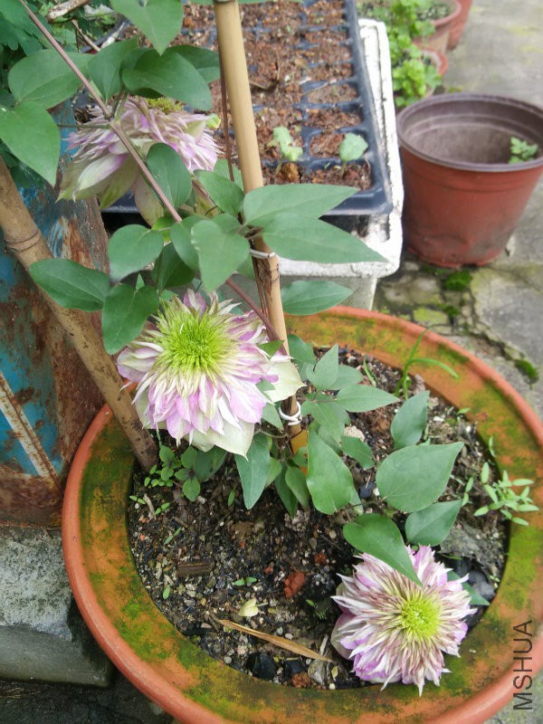 IMG20160412155501.jpg