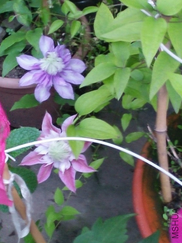 IMG20160418183416.jpg