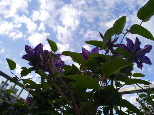IMG_20160419_170127.jpg