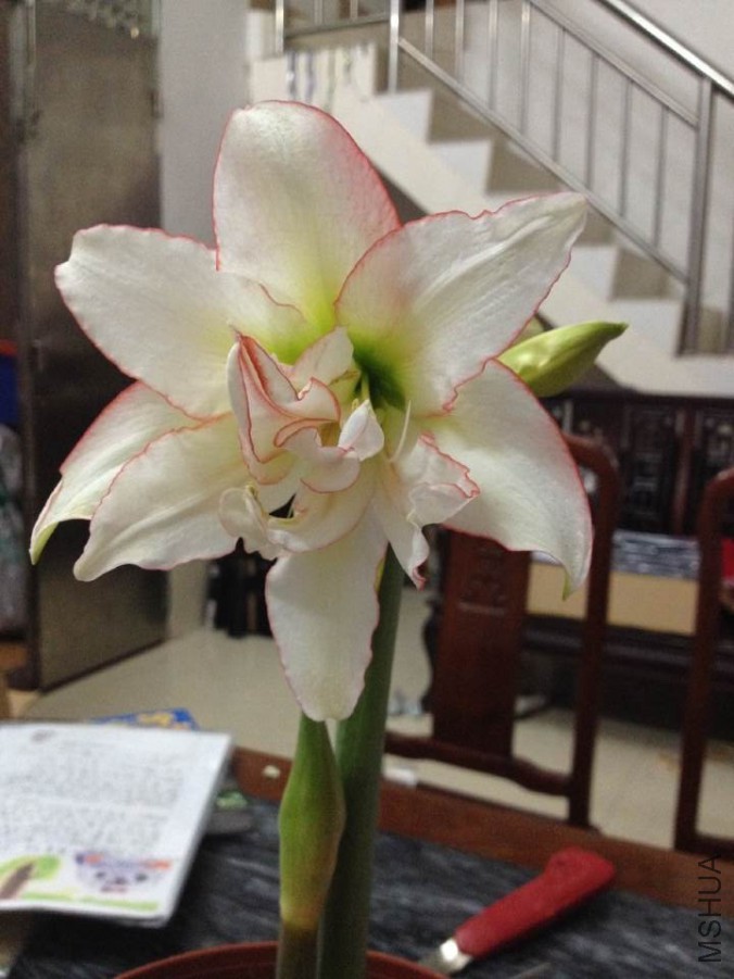 QQͼƬ20141107000506.jpg