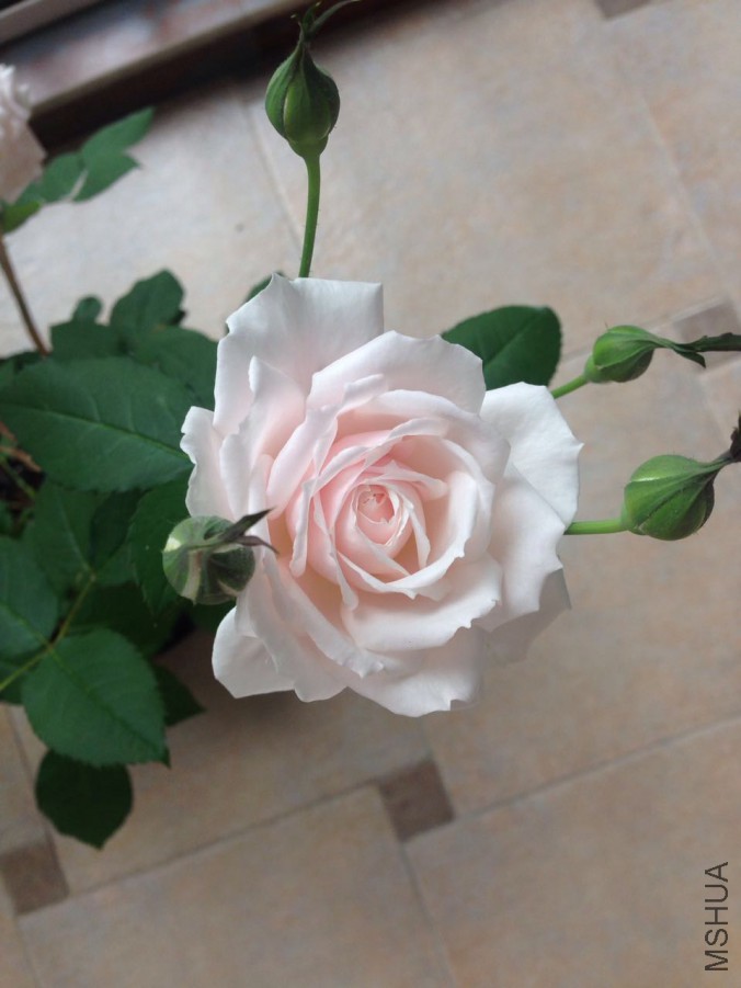 ���D����2