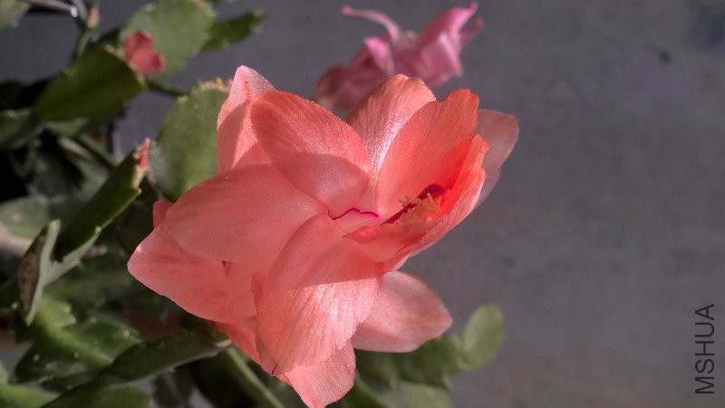 WP_20160424_12_19_49_Pro.jpg