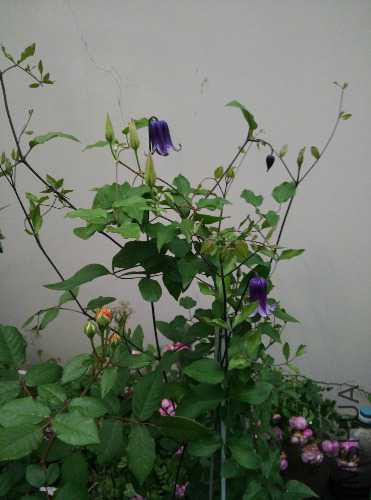 IMG_20160424_183924.jpg