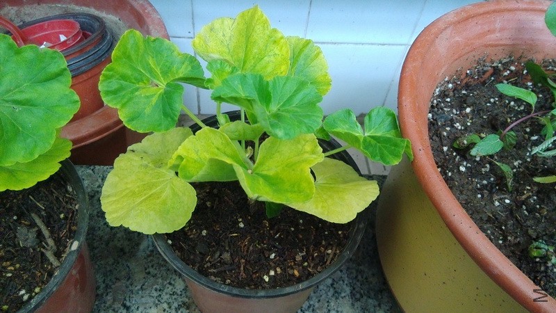 20160423_7.jpg