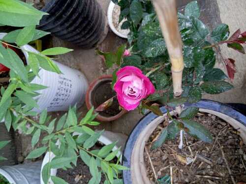 UC_Photo_066.jpg