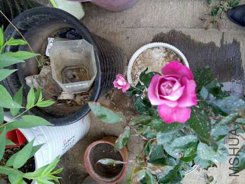 UC_Photo_067.jpg