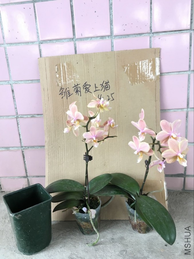 QQͼƬ20160425092610.jpg