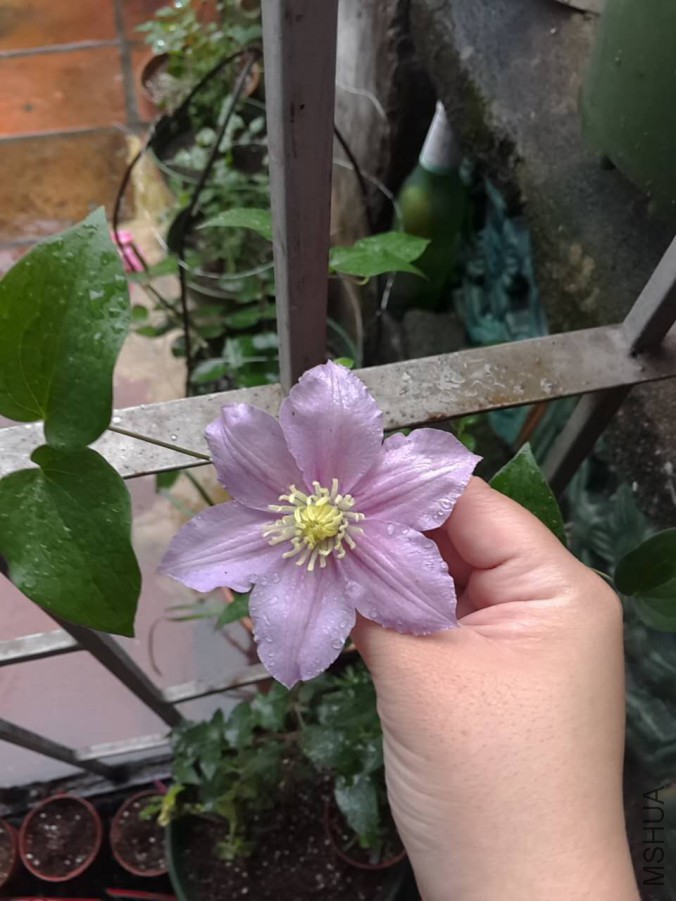 webwxgetmsgimg (1).jpg