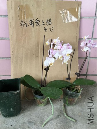 QQͼƬ20160425092554 (338x450).jpg