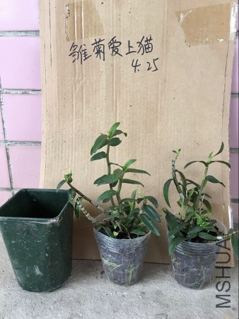 QQͼƬ20160425092617 (338x450).jpg