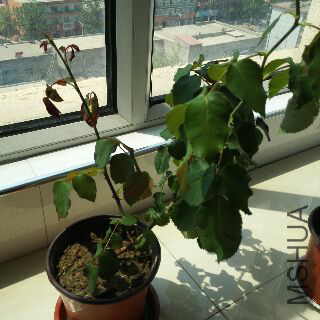 UC_Photo_204.jpg