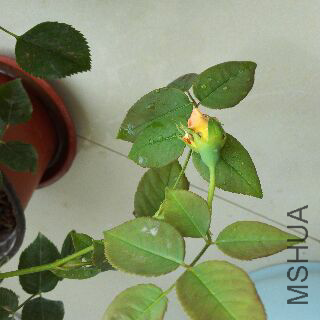 UC_Photo_207.jpg